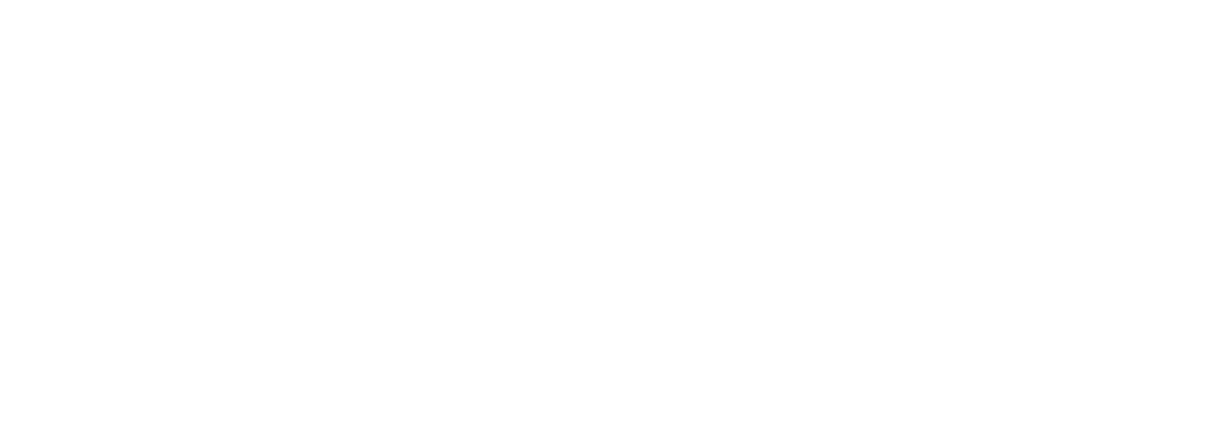 CeoVirtual